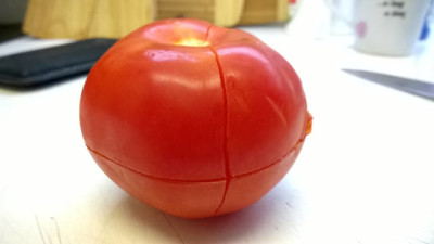 loupání rajčete