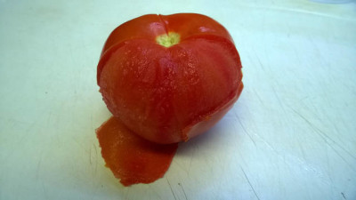 loupání rajčete